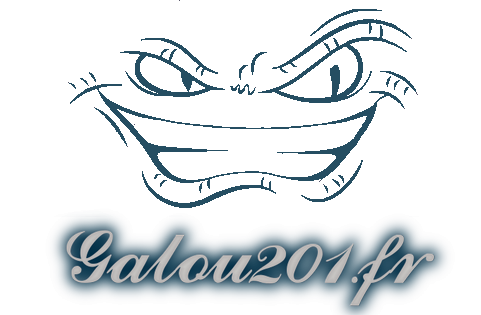 Galou201.fr